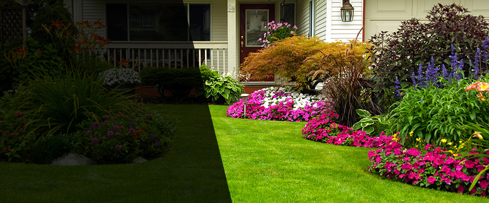 Portsmouth Landscapers